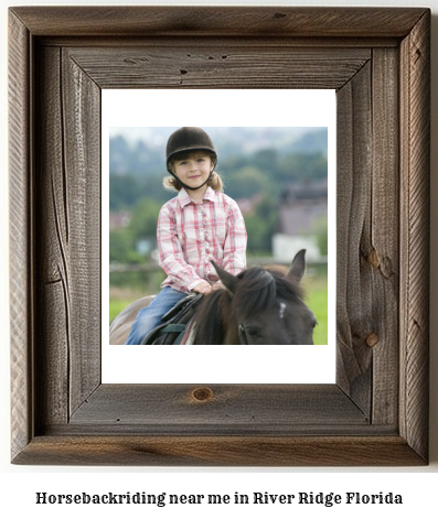 horseback riding near me in River Ridge, Florida